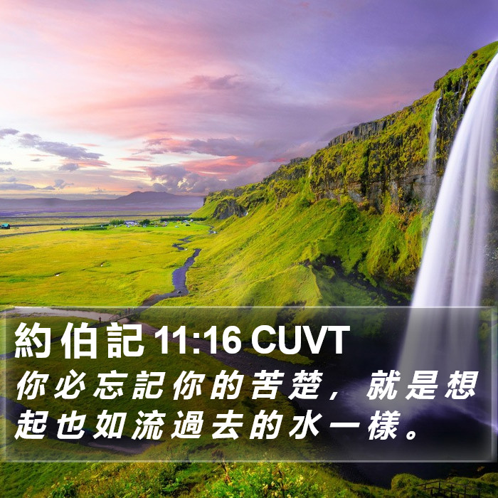 約 伯 記 11:16 CUVT Bible Study