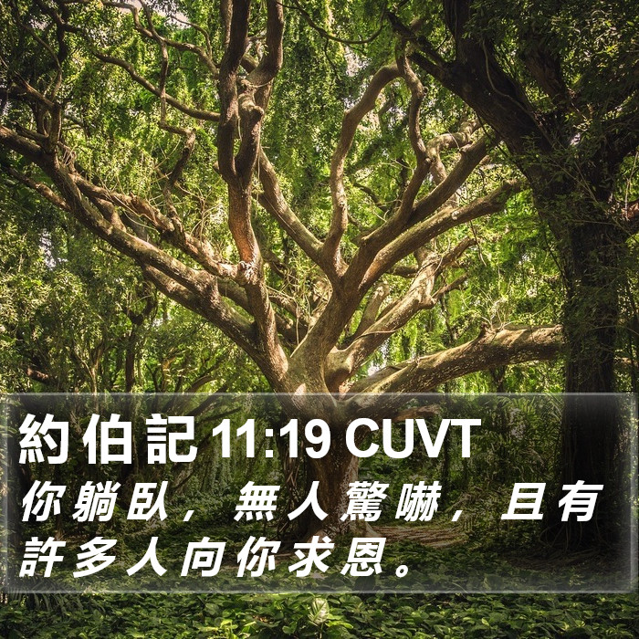 約 伯 記 11:19 CUVT Bible Study