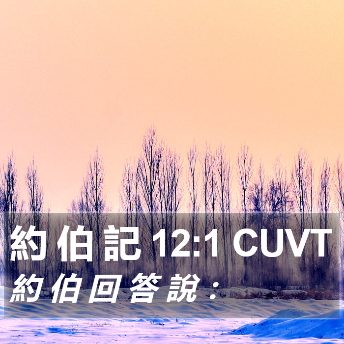 約 伯 記 12:1 CUVT Bible Study