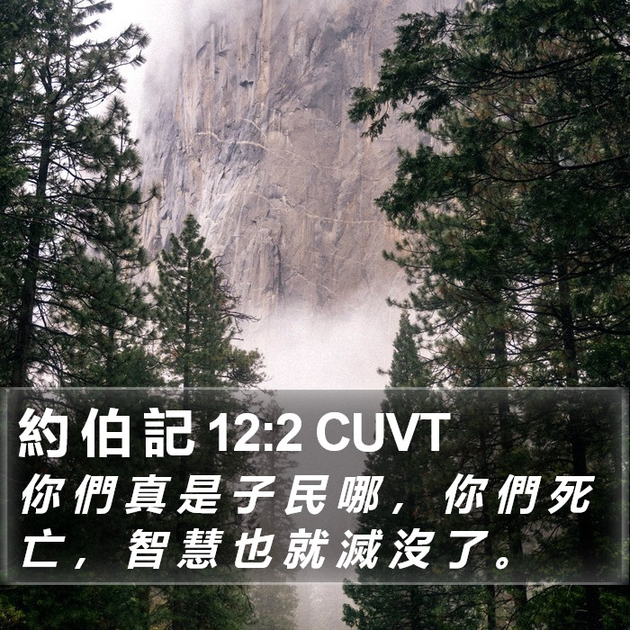 約 伯 記 12:2 CUVT Bible Study
