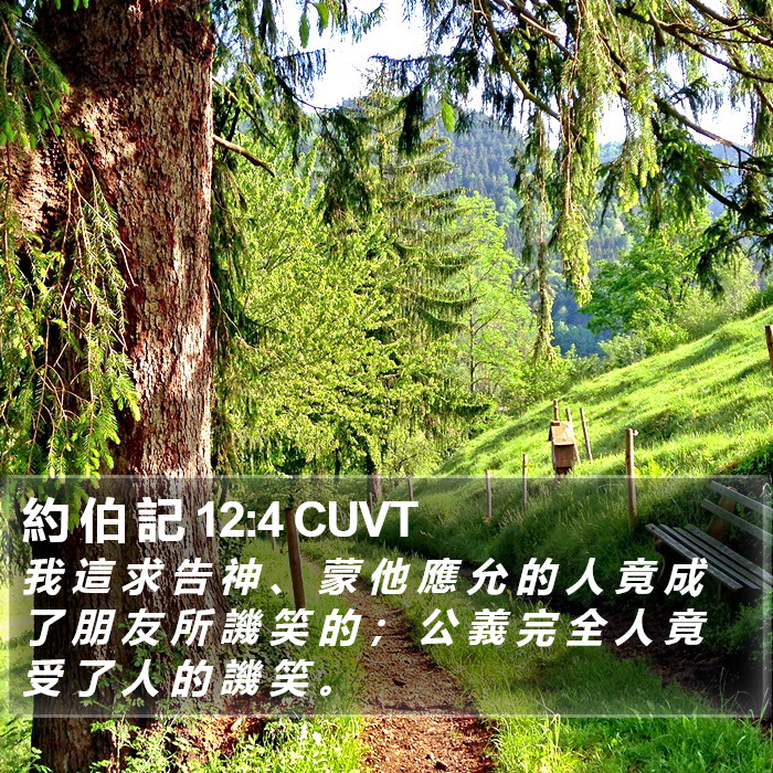 約 伯 記 12:4 CUVT Bible Study