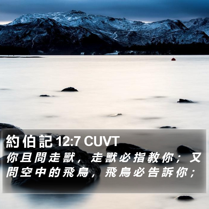 約 伯 記 12:7 CUVT Bible Study