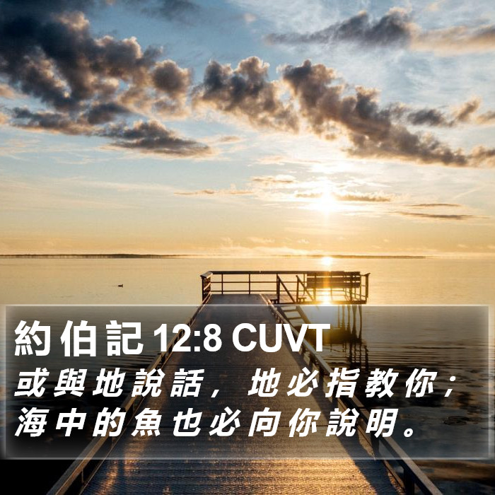 約 伯 記 12:8 CUVT Bible Study