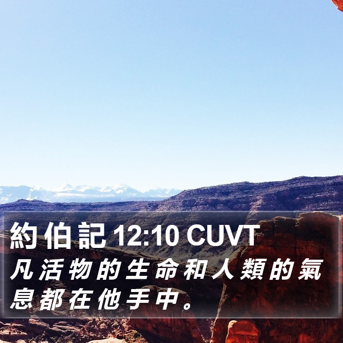 約 伯 記 12:10 CUVT Bible Study