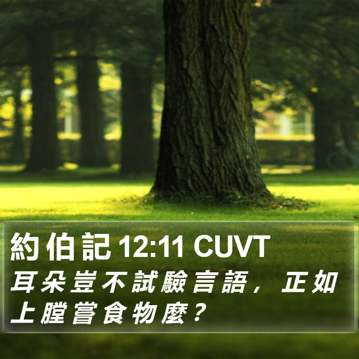 約 伯 記 12:11 CUVT Bible Study