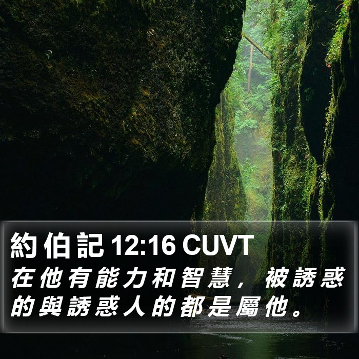約 伯 記 12:16 CUVT Bible Study