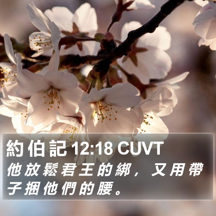 約 伯 記 12:18 CUVT Bible Study