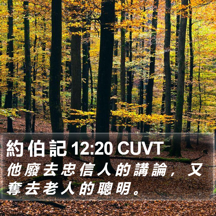 約 伯 記 12:20 CUVT Bible Study