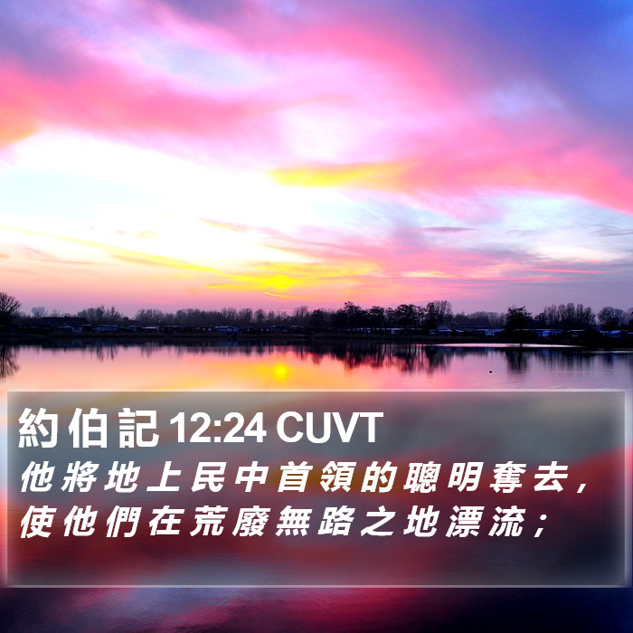 約 伯 記 12:24 CUVT Bible Study