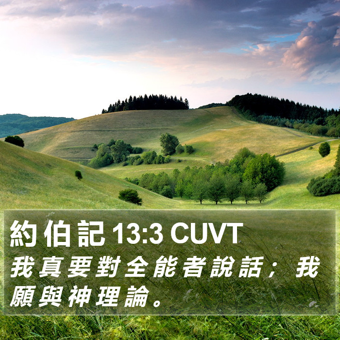 約 伯 記 13:3 CUVT Bible Study