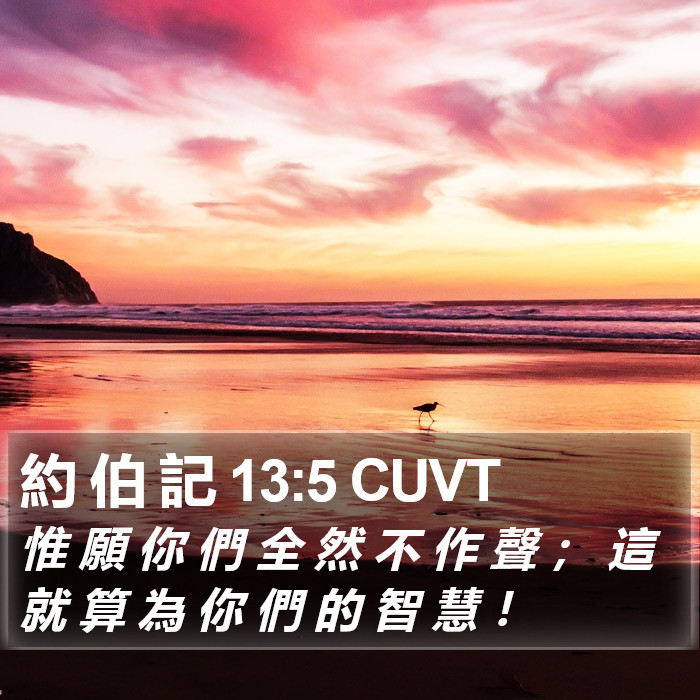 約 伯 記 13:5 CUVT Bible Study