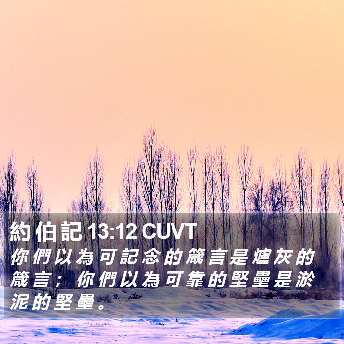 約 伯 記 13:12 CUVT Bible Study