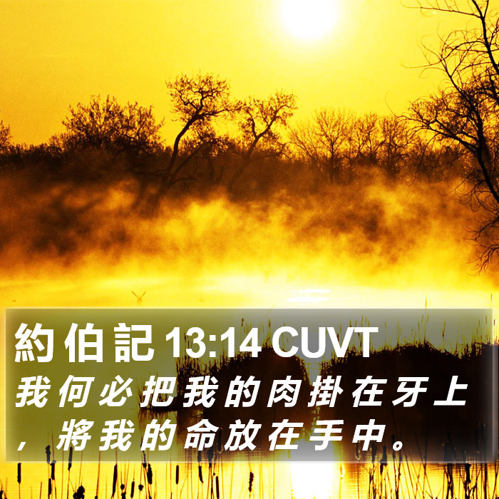 約 伯 記 13:14 CUVT Bible Study