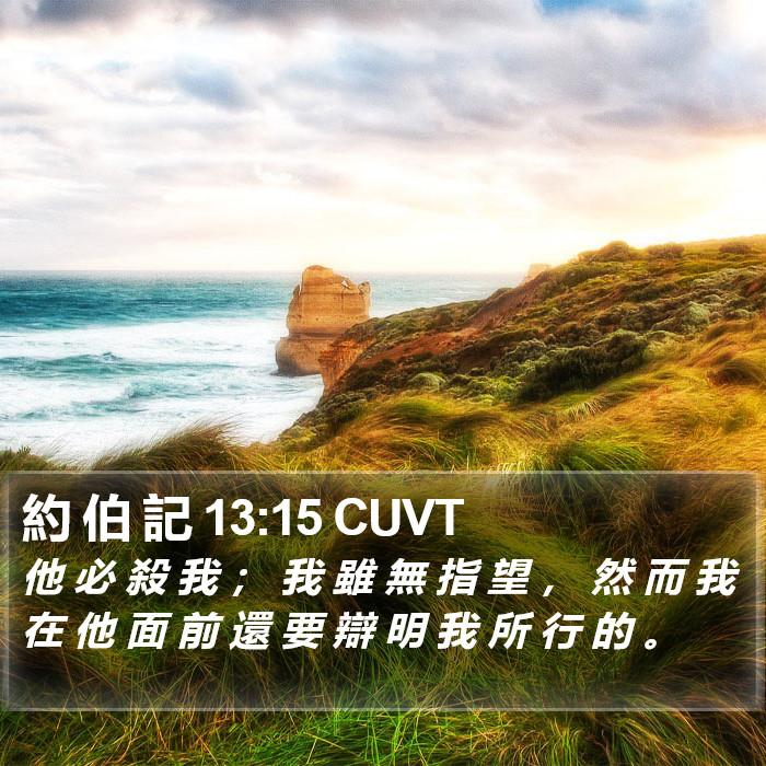 約 伯 記 13:15 CUVT Bible Study