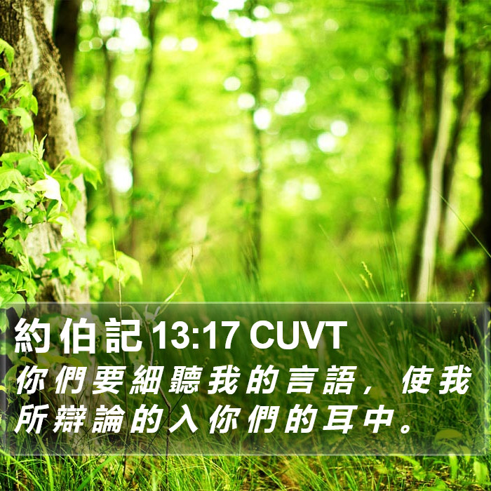 約 伯 記 13:17 CUVT Bible Study