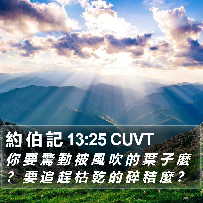 約 伯 記 13:25 CUVT Bible Study