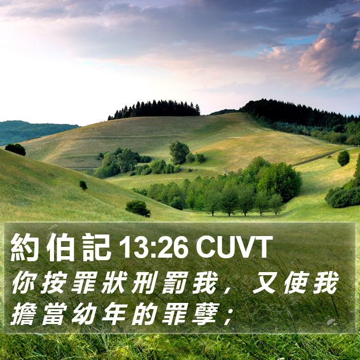 約 伯 記 13:26 CUVT Bible Study