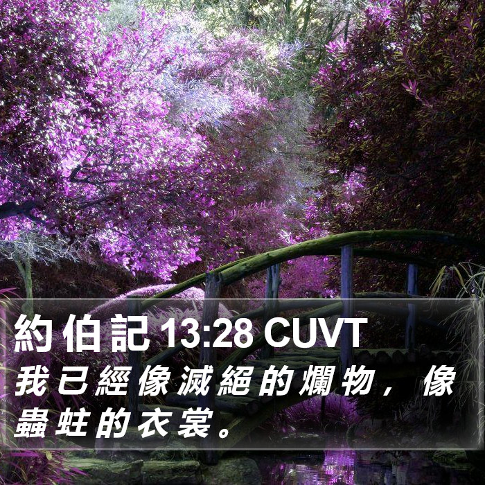 約 伯 記 13:28 CUVT Bible Study