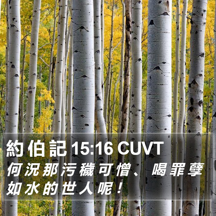 約 伯 記 15:16 CUVT Bible Study