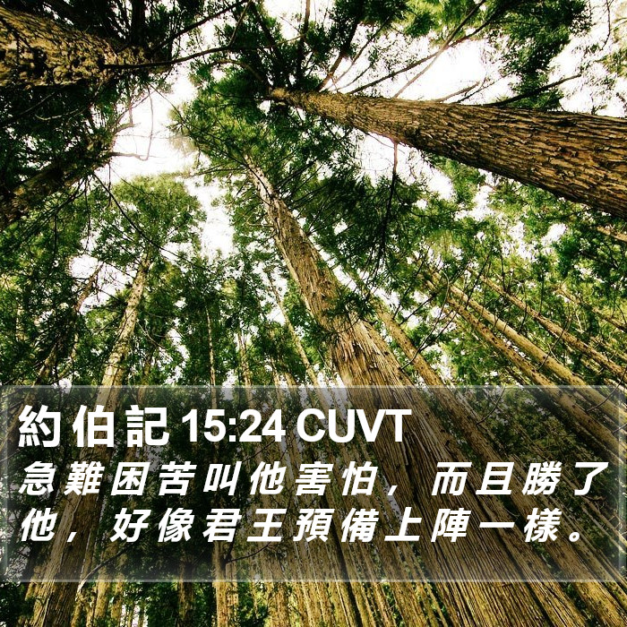 約 伯 記 15:24 CUVT Bible Study