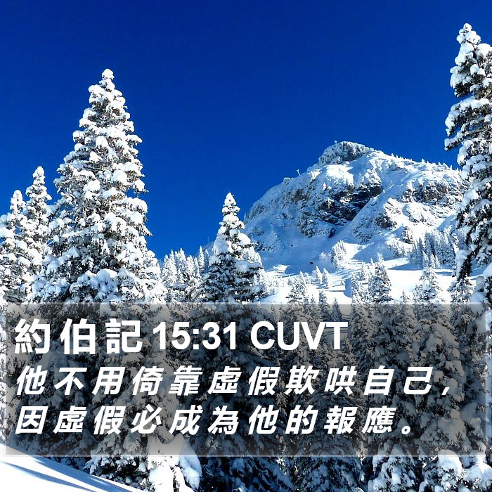 約 伯 記 15:31 CUVT Bible Study