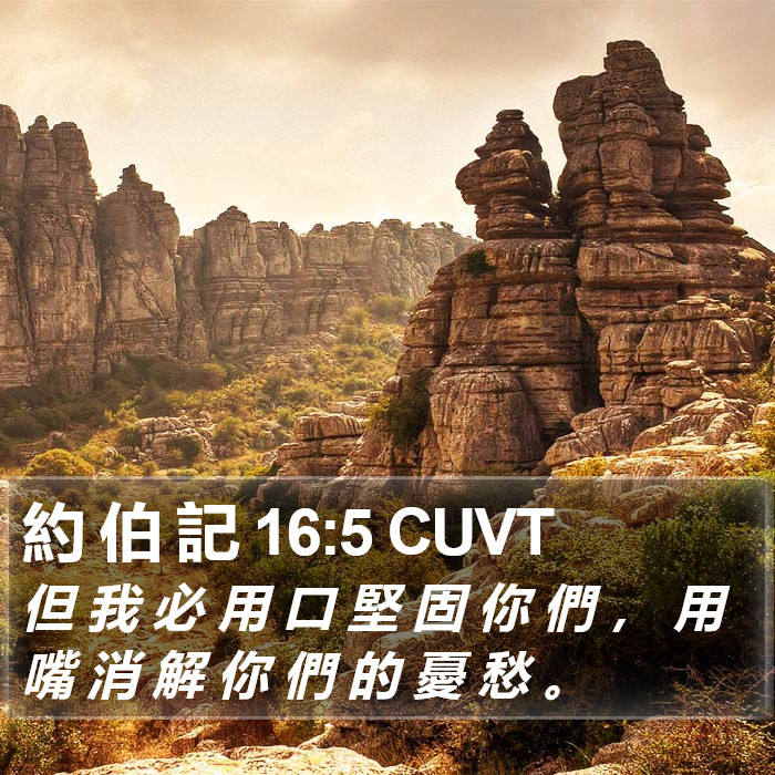 約 伯 記 16:5 CUVT Bible Study