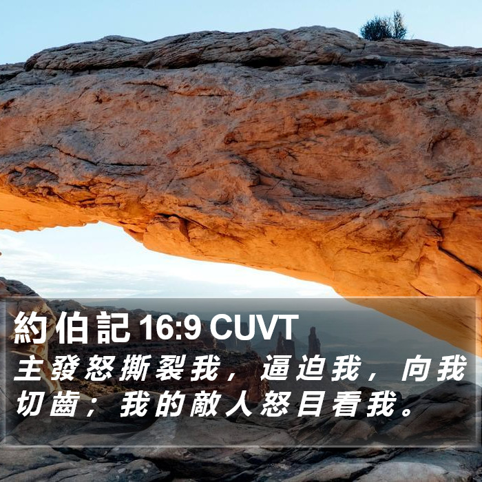 約 伯 記 16:9 CUVT Bible Study