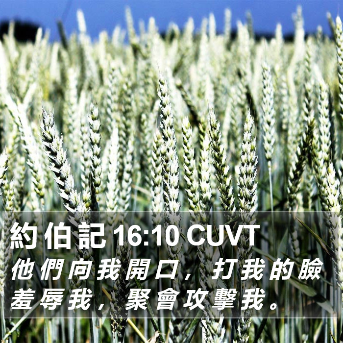 約 伯 記 16:10 CUVT Bible Study