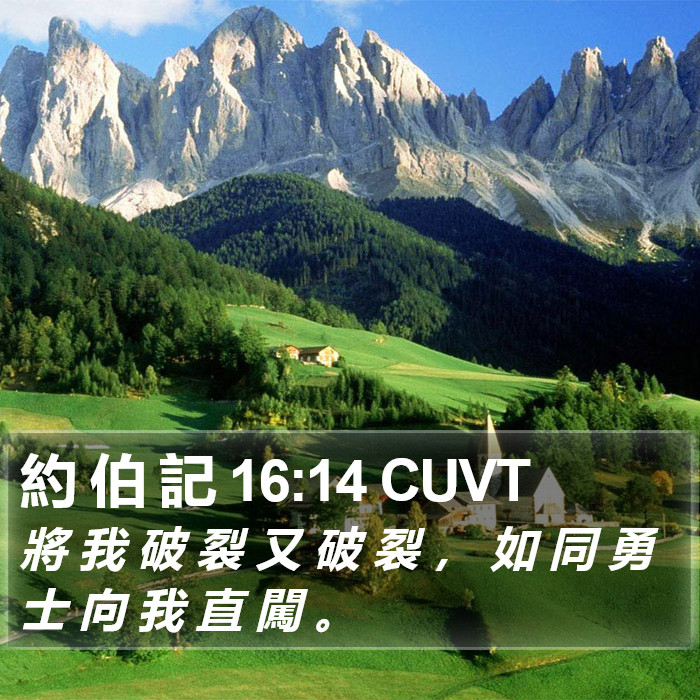 約 伯 記 16:14 CUVT Bible Study