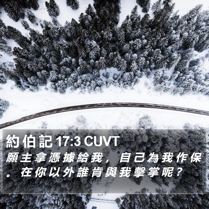 約 伯 記 17:3 CUVT Bible Study