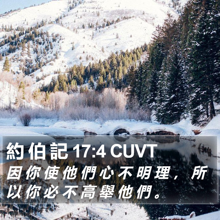 約 伯 記 17:4 CUVT Bible Study