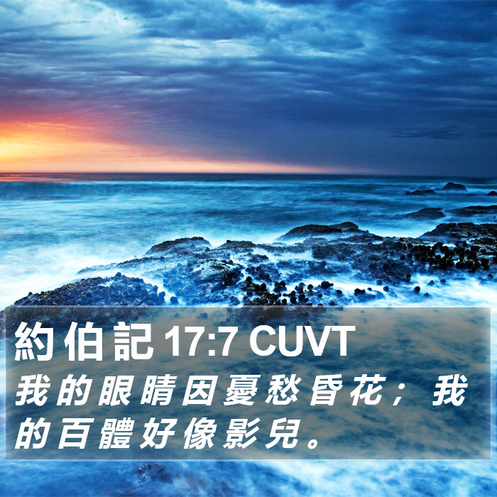 約 伯 記 17:7 CUVT Bible Study