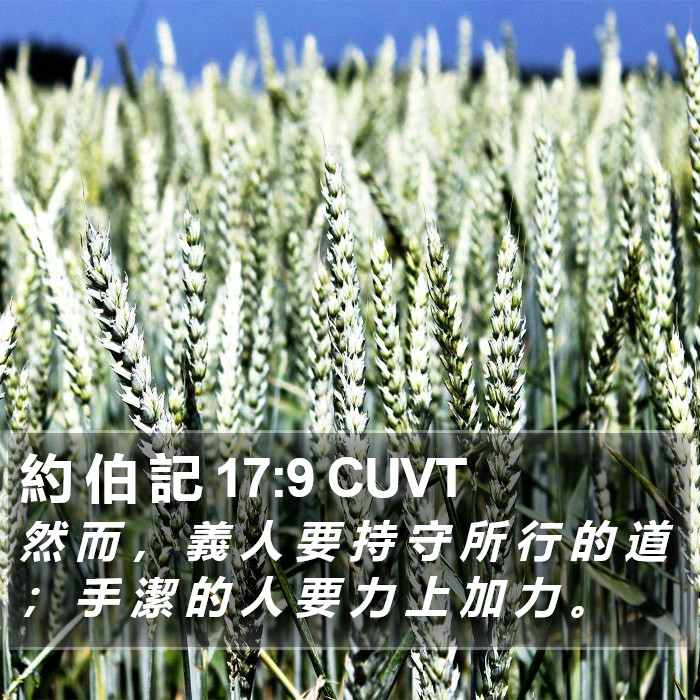 約 伯 記 17:9 CUVT Bible Study