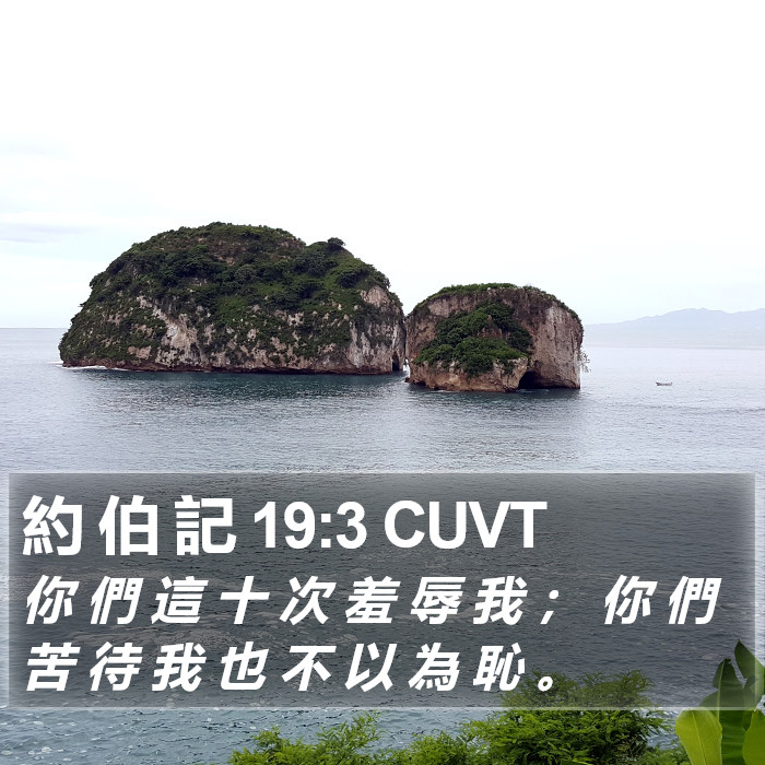 約 伯 記 19:3 CUVT Bible Study