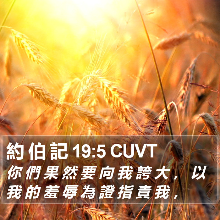 約 伯 記 19:5 CUVT Bible Study