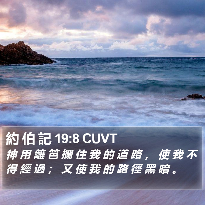 約 伯 記 19:8 CUVT Bible Study