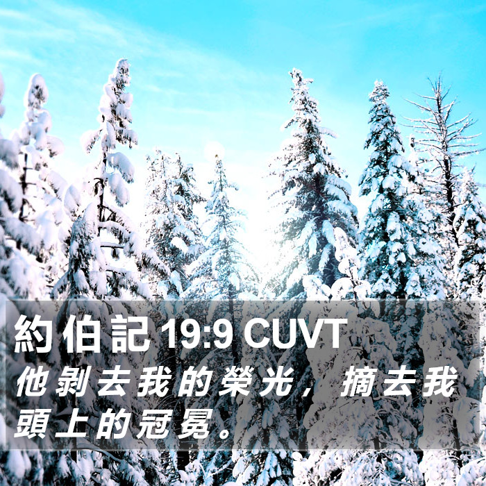 約 伯 記 19:9 CUVT Bible Study