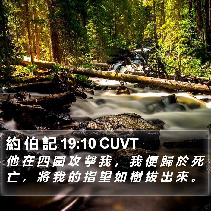 約 伯 記 19:10 CUVT Bible Study