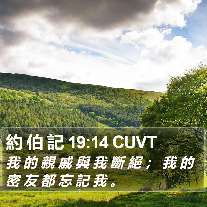 約 伯 記 19:14 CUVT Bible Study