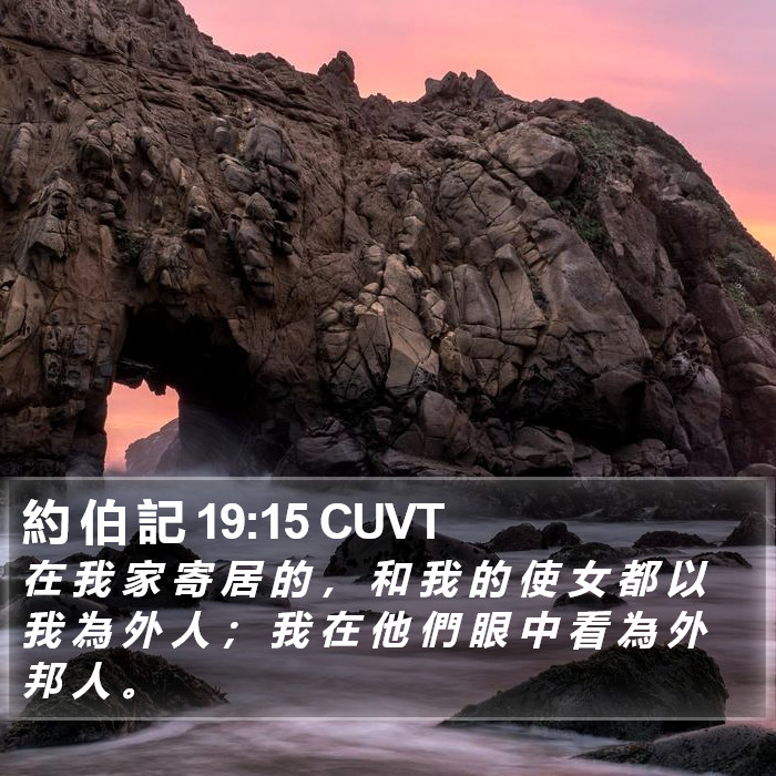 約 伯 記 19:15 CUVT Bible Study