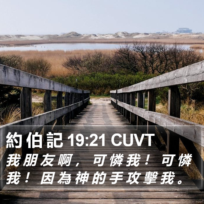 約 伯 記 19:21 CUVT Bible Study