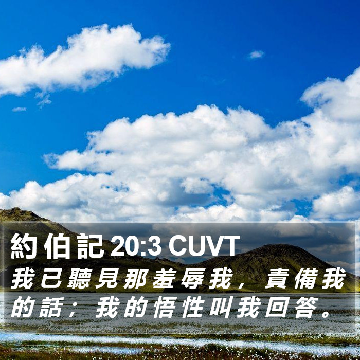 約 伯 記 20:3 CUVT Bible Study