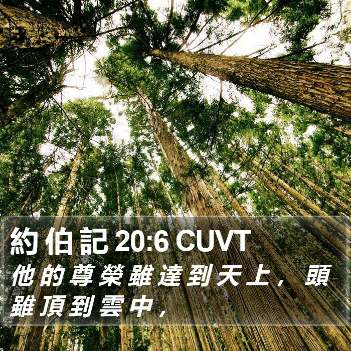 約 伯 記 20:6 CUVT Bible Study