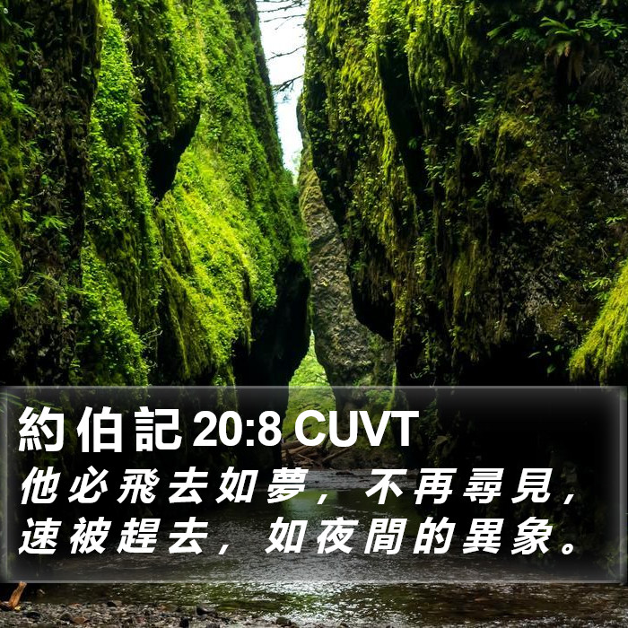 約 伯 記 20:8 CUVT Bible Study