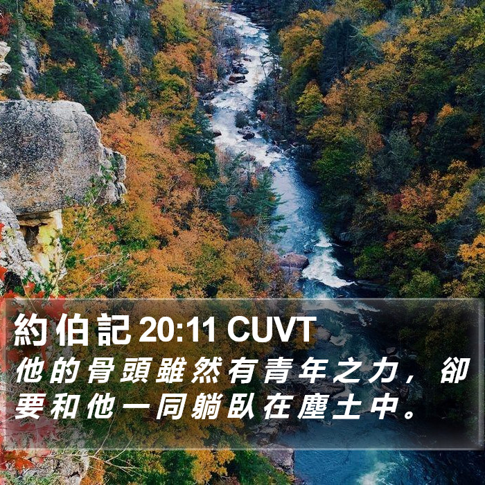 約 伯 記 20:11 CUVT Bible Study