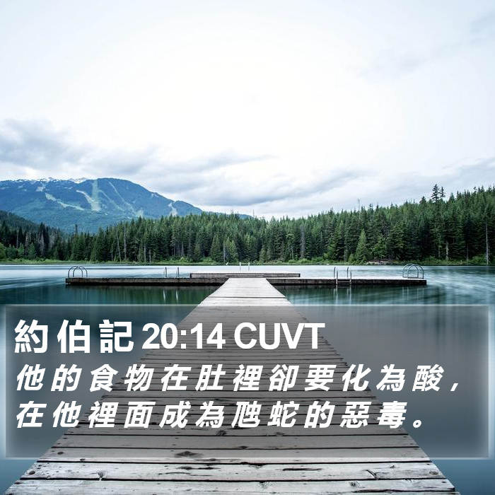 約 伯 記 20:14 CUVT Bible Study