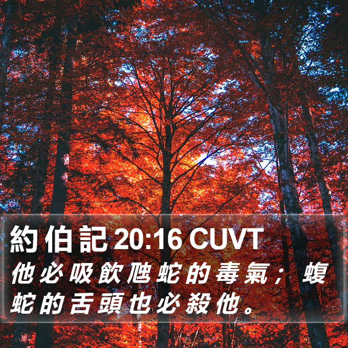 約 伯 記 20:16 CUVT Bible Study