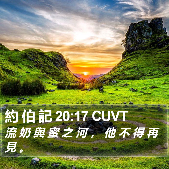 約 伯 記 20:17 CUVT Bible Study