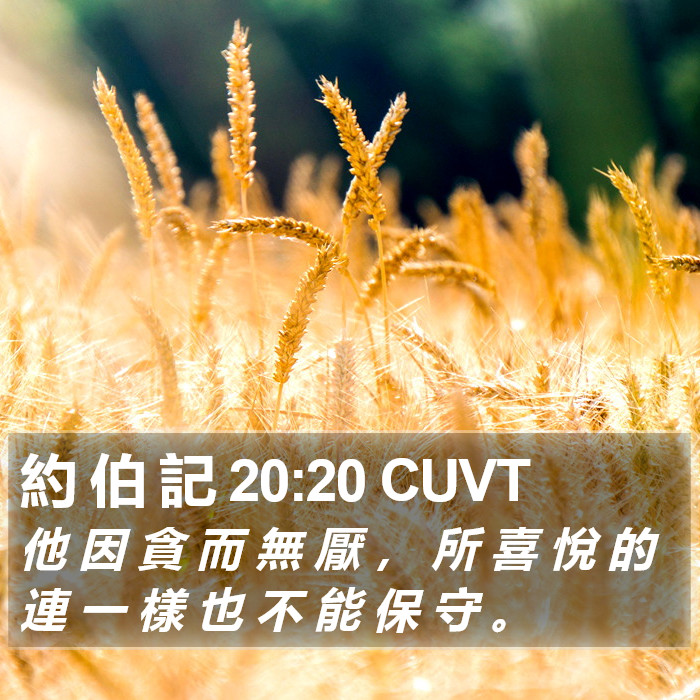 約 伯 記 20:20 CUVT Bible Study