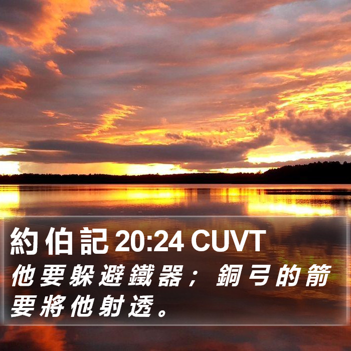 約 伯 記 20:24 CUVT Bible Study